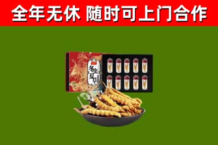 雅安烟酒回收冬虫夏草礼盒.jpg